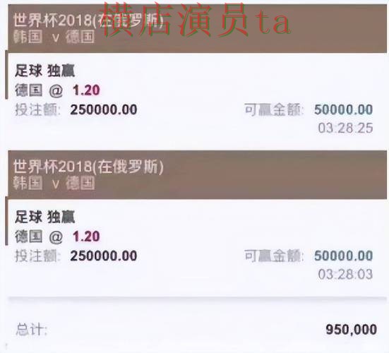 世界杯投注平台合集官网直达怎么选？揭秘给你答案（世界杯直播）